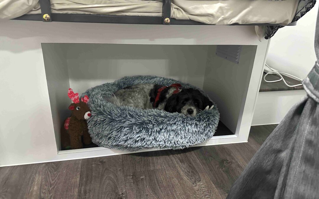 #570 – Electrex Premier – 25′